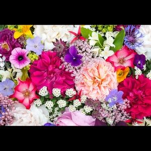 Meet your Posher, S!